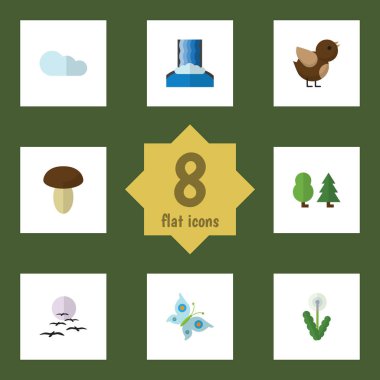 Martı, kuş, hükümdar ve diğer vektör nesnelerini düz simgesi doğal kümesi. Ayrıca bulut, martı, serçe öğeleri içerir.