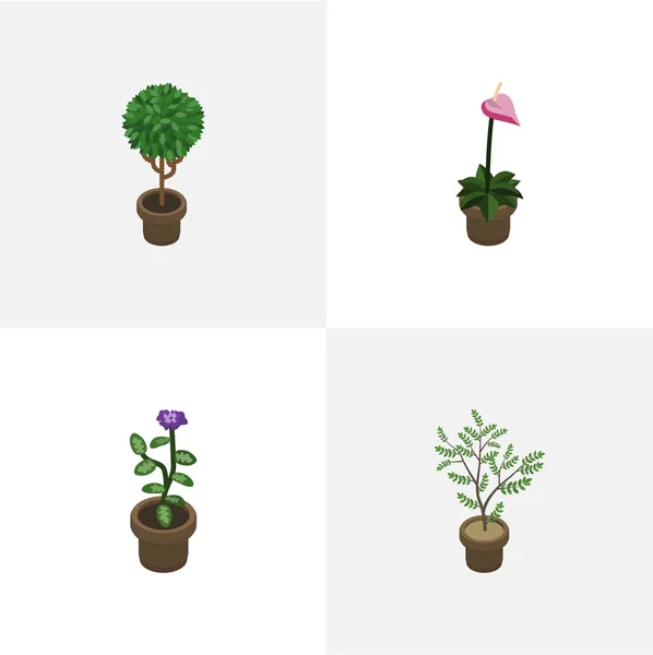 Conjunto de plantas isométricas de cultivador, árbol, helecho y otros objetos vectoriales. También incluye maceta, planta de hogar, elementos de flores . — Archivo Imágenes Vectoriales