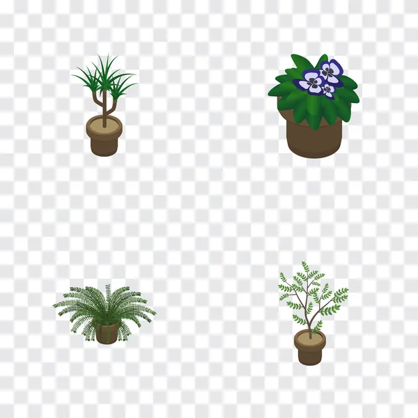 Isometric Houseplant Set of Houseplant, Fern, Plant and Other Vector Objects. Также включает ботанику, флоксы, папоротники . — стоковый вектор