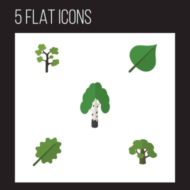 Düz simgesi ekoloji ağaç, kereste, Hickory ve diğer vektör nesneleri ayarlayın. Ayrıca ağaç, içerir Evergreen, orman öğeleri.