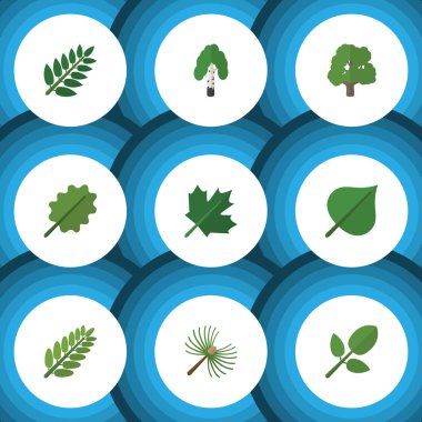 Düz simge doğa seti ahşap, yaprakları, kızılağaç ve diğer vektör nesneleri. Ayrıca ağaç, akasya, yeşillik öğeleri içerir.