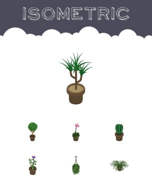 İzometrik çiçek bitki, Houseplant, üretici ve diğer vektör nesneleri kümesi. Ayrıca asılı, Fern, çiçek öğeleri içerir.