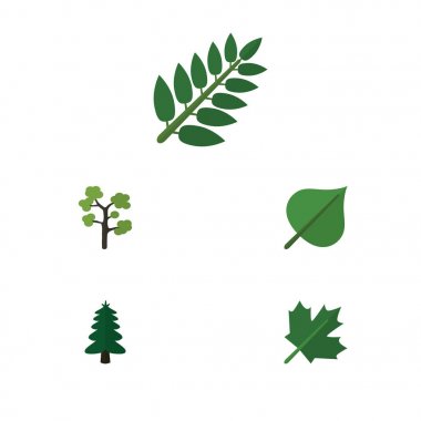 Düz simgesi ekoloji kümesi meşe, Bahçe, Park ve diğer vektör nesneleri. Ayrıca meşe, içerir ağaç, yeşillik elemanları.