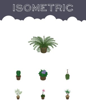 İzometrik çiçek Blossom, Houseplant, Fern ve diğer vektör nesneleri kümesi. Ayrıca saksı, asılı, Fern öğeleri içerir.