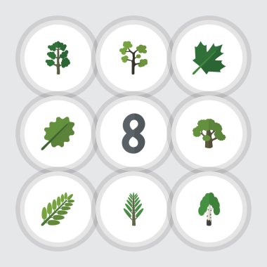 Düz simgesi doğa orman, meşe, Bahçe ve diğer vektör nesneleri ayarlayın. Ayrıca meşe, huş ağacı, yaprakları unsurları içerir.