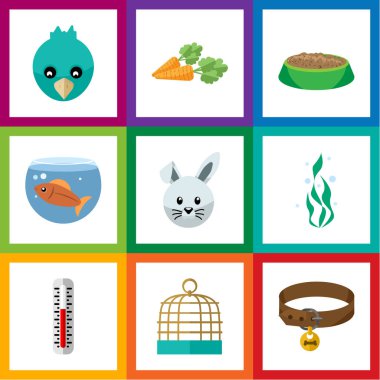 Düz simgesi Evcil serçe, sıcaklık ölçümü, kök sebze ve diğer vektör nesneleri ayarlayın. Ayrıca kuş kafesi, tavşan, besin öğeleri içerir.