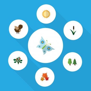 Düz simgesi ekoloji Berry, Kanada, kedi ve diğer vektör nesneleri kümesi. Ayrıca güneş, içerir Kanada, kuş elemanları.