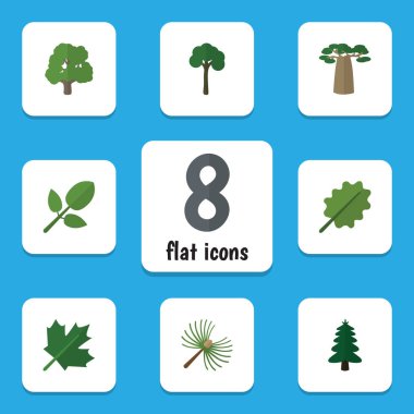 Düz simgesi ekoloji kümesi meşe, kızılağaç, Evergreen ve diğer vektör nesneleri. Akçaağaç, meşe, herdem yeşil öğeleri de içerir.