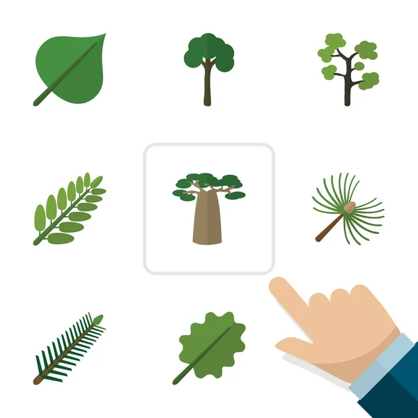 Плоская икона из листьев, листьев ели, вечнозеленых и других векторных предметов. Также включает вечнозеленые, дубовые, баобабские слои . — стоковый вектор