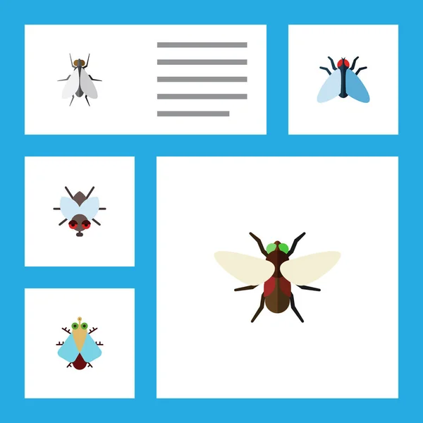 Flache Icon-Summen aus winzigen, Stubenfliege, Blaubeere und anderen Vektorobjekten. umfasst auch Summen, Insekten, Stubenfliege Elemente. — Stockvektor