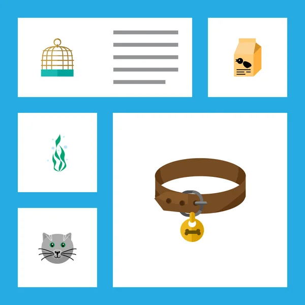 Platte pictogram huisdieren Set vogel gevangenis, Kitty, voeding Box en andere vectorobjecten. Ook bevat zeewier elementen, Pussy, vak. — Stockvector