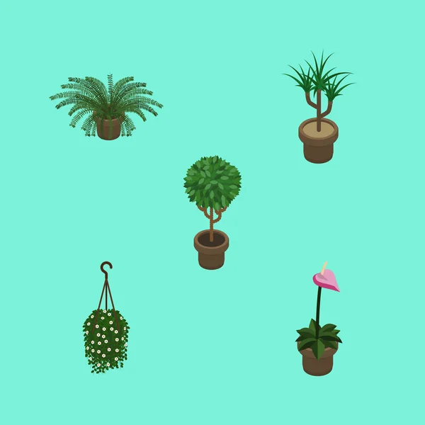 Izometrické rostlin sada rostlin, stromu, pěstitele a ostatní vektorové objekty. Zahrnuje také kapradiny, rostlin, květináče prvky. — Stockový vektor