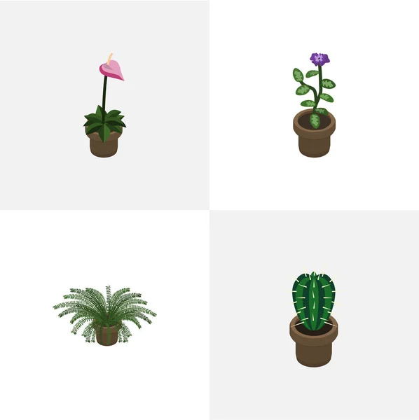 Conjunto isométrico de flores, plantas, cultivadores y otros objetos vectoriales. También incluye flor, planta, elementos de helecho . — Archivo Imágenes Vectoriales