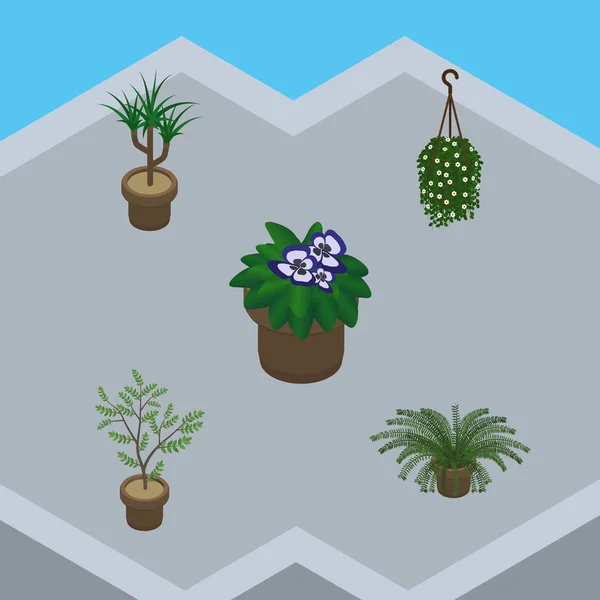 等尺性花植木鉢、観葉植物、植物、他のベクトル オブジェクトのセットです。また植物、ポット、植物学の要素が含まれています. — ストックベクタ
