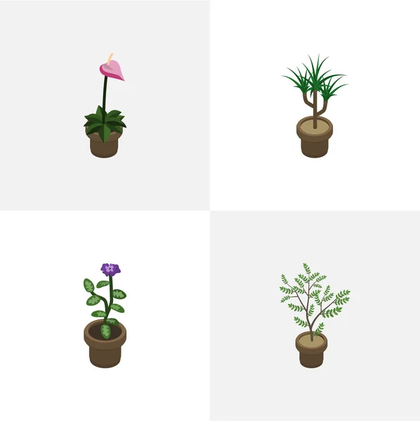 아이소메트릭 꽃 화분, Houseplant, 꽃 및 다른 벡터 개체의 집합입니다. Houseplant, 식물, 꽃 요소 포함. — 스톡 벡터