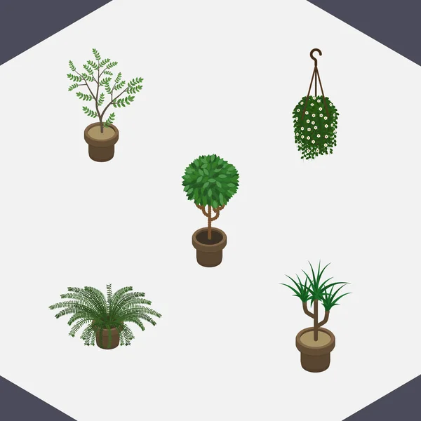 Isometric Plant Set Of Houseplant, Plant, Blossom And Other Vector Objects. Also Includes Botany, Houseplant, Flowerpot Elements. — Stock Vector