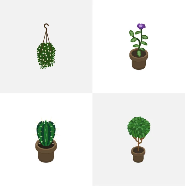 Ensemble de plantes isométriques de fleurs, fleurs, arbres et autres objets vectoriels. Comprend également pendaison, plante, éléments de pot . — Image vectorielle