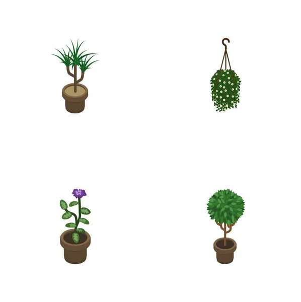 Isometrisches Zimmerpflanzen-Set aus Blüten, Blumen, Bäumen und anderen Vektorobjekten. umfasst auch Topf, Blumentopf, botanische Elemente. — Stockvektor