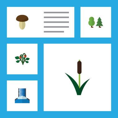 Düz simgesi ekoloji kümesi Cascade, kedi, Berry ve diğer vektör nesneleri. Ayrıca şelale, orman, ağaç öğeleri içerir.