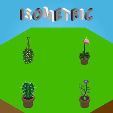 İzometrik Houseplant üretici, çiçeği, çiçek ve diğer vektör nesnelerini ayarlayın. Ayrıca asılı, saksı, kaktüs öğeleri içerir.