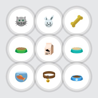 Düz simgesi evcil hayvan Bunny, tazı kolye, tavşan yemek ve diğer vektör nesneleri kümesi. Ayrıca kuş, kemik, Fishbowl öğeleri içerir.