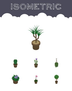 İzometrik bitki çiçek, ağaç, saksı ve diğer vektör nesnelerini ayarlayın. Ayrıca çiçek, saksı, çiçek öğeleri içerir.