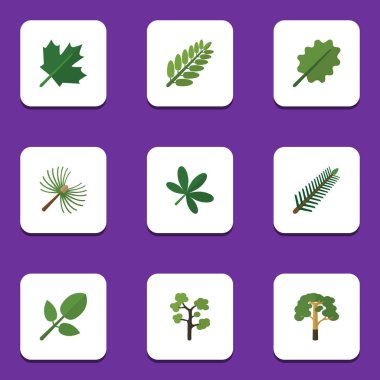 Düz simgesi Bio kümesi yaprakları, Bahçe, odun ve diğer vektör nesneleri. Kızılağaç, kereste, ağaç öğeleri de içerir.