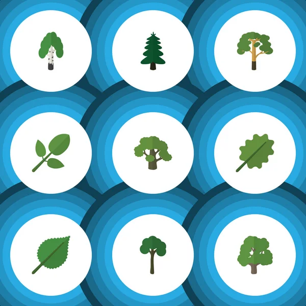 Düz simgesi ekoloji ağaç, ahşap, Park ve diğer vektör nesnelerini ayarlayın. Ayrıca huş, kızılağaç, yaprak öğeleri içerir.