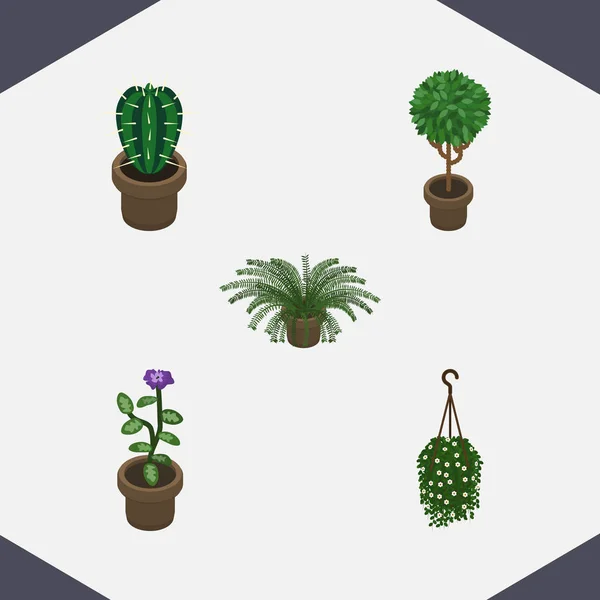 Conjunto de plantas isométricas de flor, flor, árvore e outros objetos vetoriais. Também inclui potenciômetro, flor, elementos da flor . —  Vetores de Stock