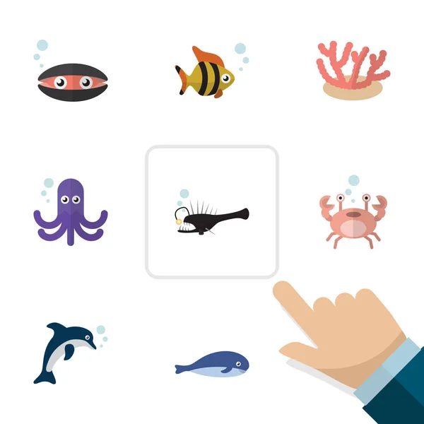 Icono plano Marino Conjunto de Cachalot, Cáncer, Mariscos y otros objetos de vectores. También incluye delfines, ballenas, algas marinas . — Vector de stock