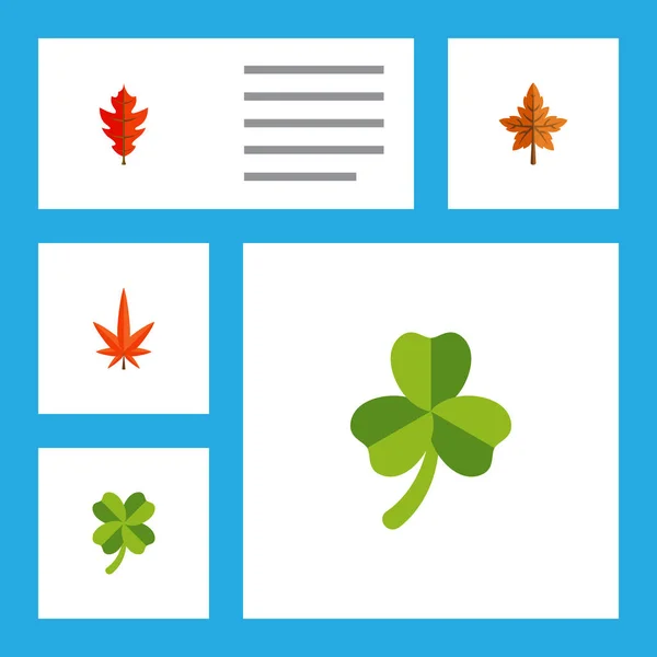 Icono plano conjunto de arce de Frond, Hoja, Aspen y otros objetos vectoriales. También incluye Aspen, Aliso, Elementos de tilo . — Archivo Imágenes Vectoriales