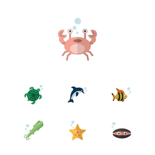 Conjunto de natureza de ícones planos de câncer, tartaruga, vieira e outros objetos vetoriais. Também inclui atum, Brincalhão, Elementos de frutos do mar . —  Vetores de Stock