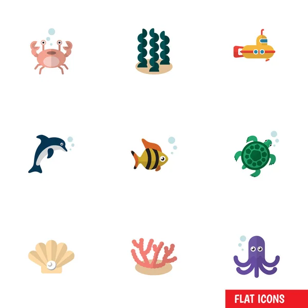 Flat ikonen natur uppsättning Alga, tentakel, Conch och andra vektorobjekt. Innehåller även Alga, ubåt, Dolphin element. — Stock vektor