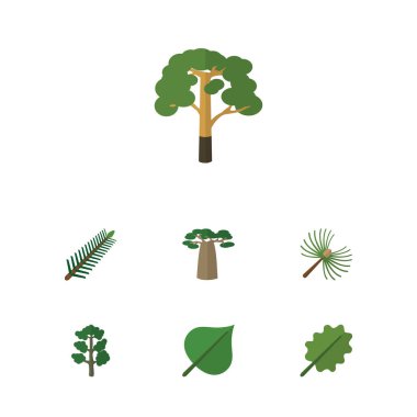 Düz simgesi doğa kızılağaç, Hickory, odun ve diğer vektör nesnelerini ayarlayın. Ayrıca içerir ağaç, ahşap, yaprakları öğeleri.
