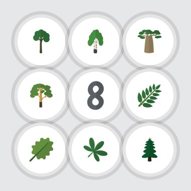 Düz simgesi ekoloji kızılağaç, Park, odun ve diğer vektör nesnelerini ayarlayın. Ayrıca meşe, ahşap, herdem yeşil öğeler içerir.