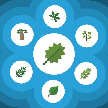 Düz simgesi Bio Baobab, akçaağaç, akasya yaprağı ve diğer vektör nesnelerini ayarlayın. Ayrıca meşe, kızılağaç, herdem yeşil öğeler içerir.
