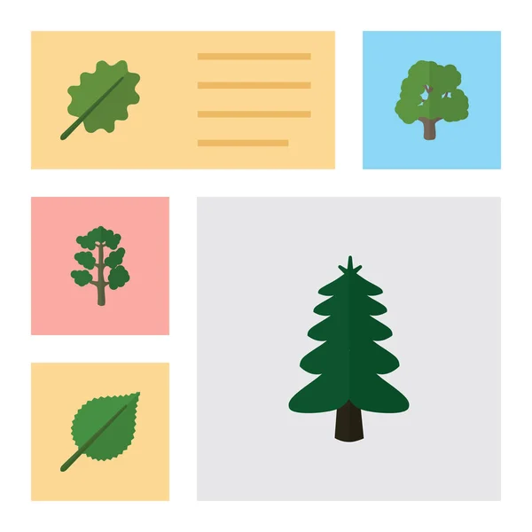 Icono plano Conjunto natural de tilo, bosque, parque y otros objetos vectoriales. También incluye Árbol, Abeto, Elementos de Roble . — Archivo Imágenes Vectoriales