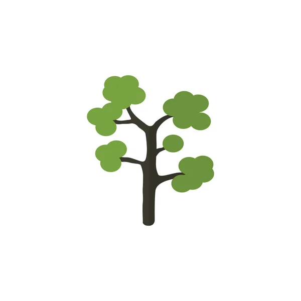 Изолированная вечнозеленая плоская икона. Элемент садового вектора может быть использован для вечнозеленого, дерева, концепции дизайна древесины . — стоковый вектор