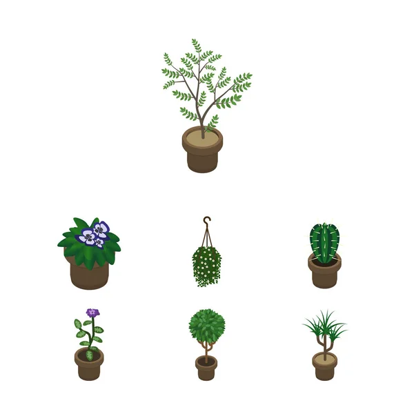 Conjunto de plantas domésticas isométricas de plantas domésticas, peyote, árboles y otros objetos vectoriales. También incluye cactus, maceta, elementos de flor . — Archivo Imágenes Vectoriales