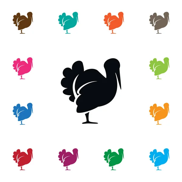 Icono de Turquía aislado. El elemento vectorial de Turkeycock se puede utilizar para Turkeycock, Turquía, concepto de diseño de aves . — Vector de stock