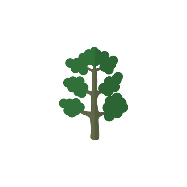 Изолированная деревянная плоская икона. Элемент вектора леса может быть использован для дерева, дерева, концепции дизайна леса . — стоковый вектор