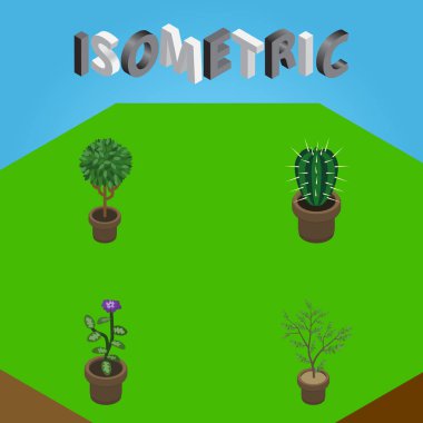 İzometrik Houseplant Peyote, çiçek, Fern ve diğer vektör nesneleri kümesi. Ayrıca Houseplant, Pot, Peyote öğeleri içerir.