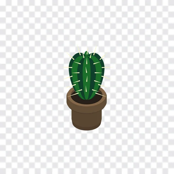 Cactus Isometric isolé. L'élément vectoriel de peyote peut être employé pour le peyote, cactus, concept de conception d'usine . — Image vectorielle