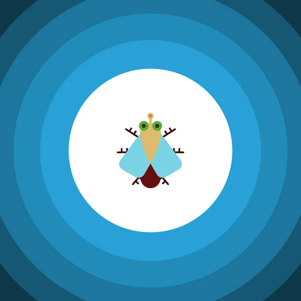 Icône plate de mouche domestique isolée. Élément vectoriel minuscule peut être utilisé pour Tiny, Housefly, concept de conception de mouche . — Image vectorielle