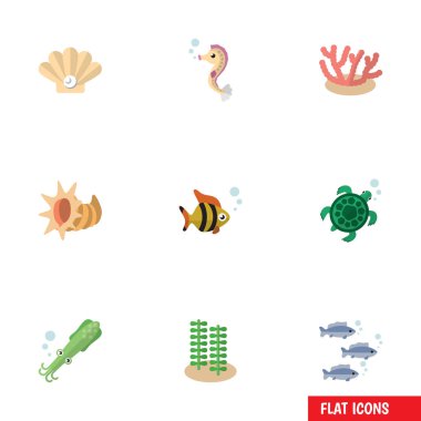 Kabuklu, ahtapot, deniz yosunu ve diğer vektör nesnelerini düz simgesi deniz kümesi. Ayrıca yosun, yosun, tarak unsurları içerir.