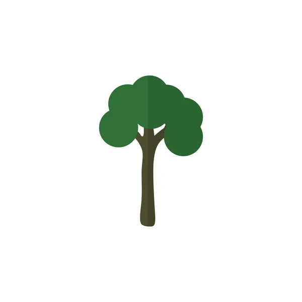 Изолированная плоская икона сада. Вечнозеленый векторный элемент может быть использован для Evergreen, дерево, дерево дизайн концепции . — стоковый вектор