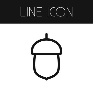 İzole somun anahat. Meşe vektör öğesi kullanılan fındık, meşe, fındık tasarım konsepti için.