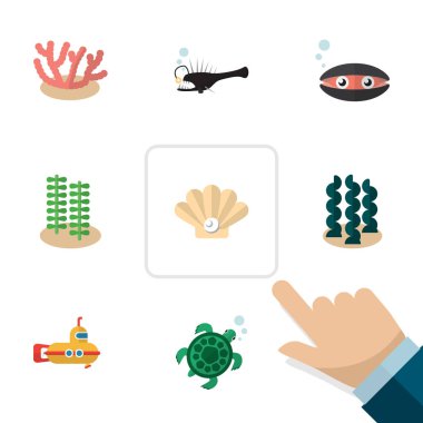 Flat Icon Sea Set Of Seaweed, Alga, Tortoise And Other Vector Objects. Also Includes Alga, Melanocetus, Fish Elements. clipart