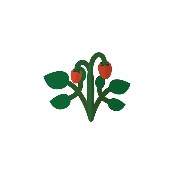 Изолированная Клубничная плоская икона. Ягодный векторный элемент может быть использован для клубники, ягоды, фруктовый дизайн концепции . — стоковый вектор