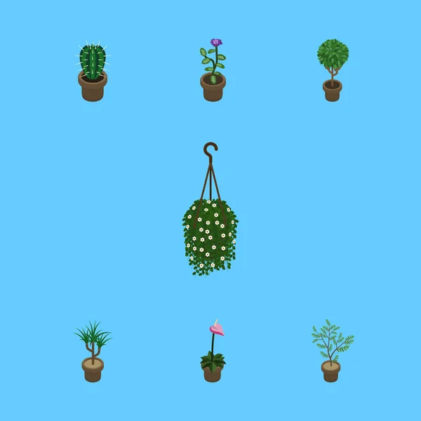 Isometric Plant Set Of Flower, Tree, Houseplant And Other Vector Objects. Also Includes Botany, Blossom, Plant Elements. — Stock Vector